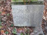 image of grave number 779029